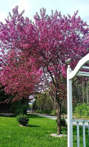 N4443 Crappie Road, Medford, WI 54451