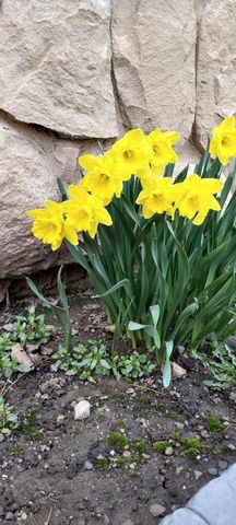 N4443 Crappie Road, Medford, WI 54451