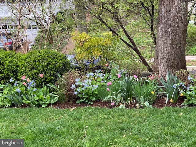 7109 MEADOW LN, Chevy Chase, MD 20815