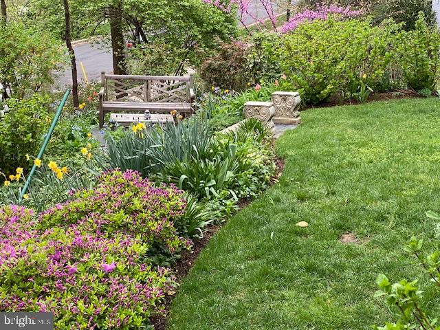 7109 MEADOW LN, Chevy Chase, MD 20815