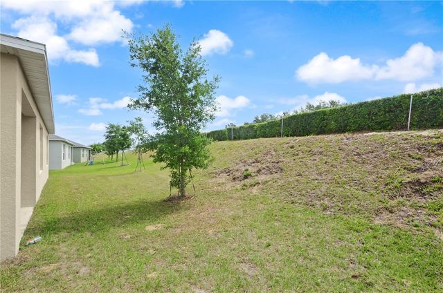 3235 BLUE CRAB DRIVE, Tavares, FL 32778