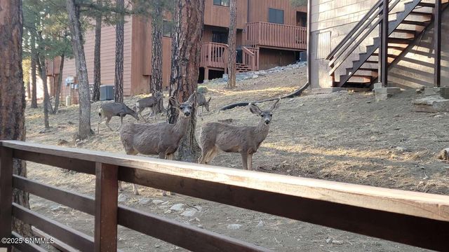 303 Racquet Drive 18, Ruidoso, NM 88345