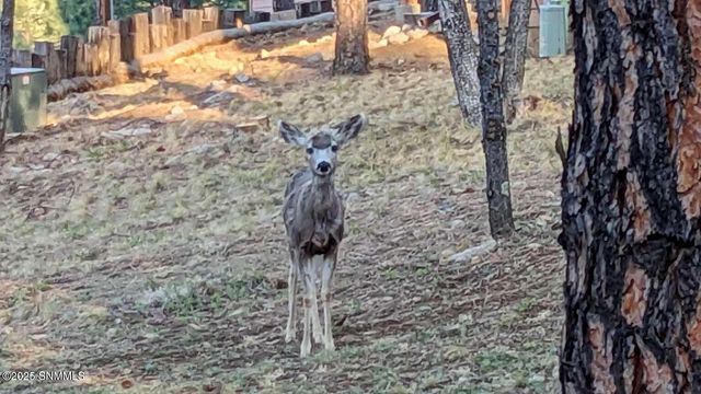 303 Racquet Drive 18, Ruidoso, NM 88345