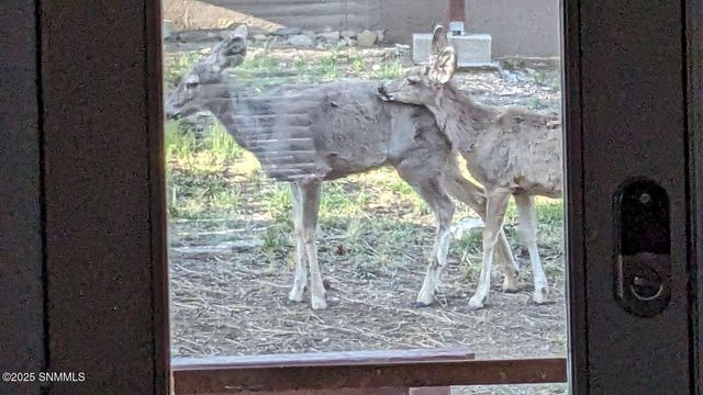 303 Racquet Drive 18, Ruidoso, NM 88345