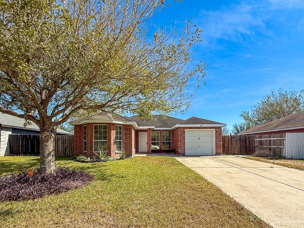 424 Delia Avenue, Alamo, TX 78516