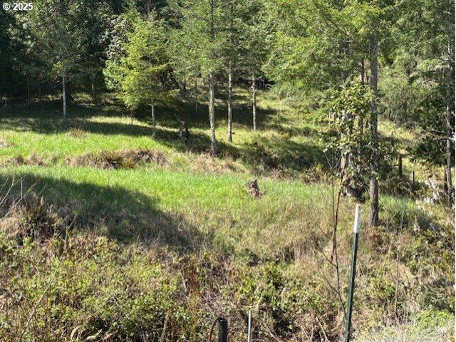 8738 BUCKHORN Rd, Roseburg, OR 97470