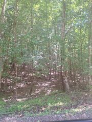 0 Judah Road, Morganton, GA 30560