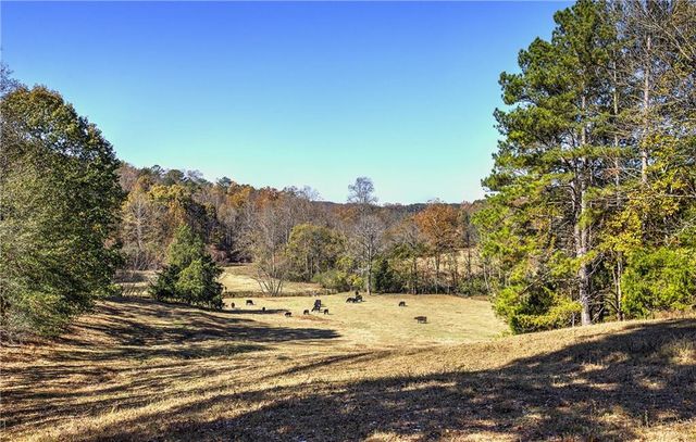 715 E Cochran SE Road, Ranger, GA 30734