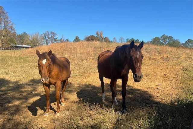 715 E Cochran SE Road, Ranger, GA 30734