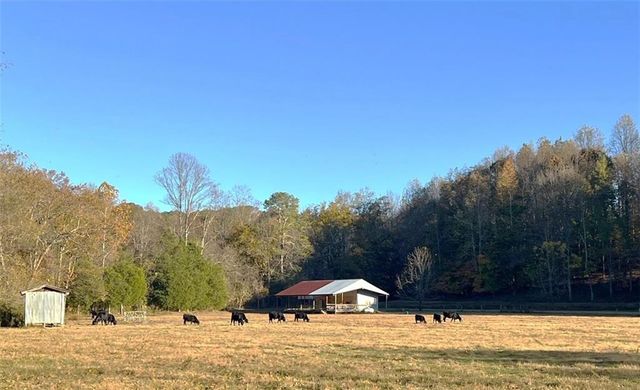 715 E Cochran SE Road, Ranger, GA 30734