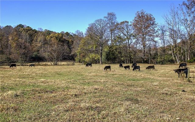 715 E Cochran SE Road, Ranger, GA 30734