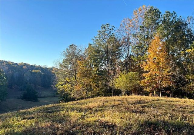 715 E Cochran SE Road, Ranger, GA 30734