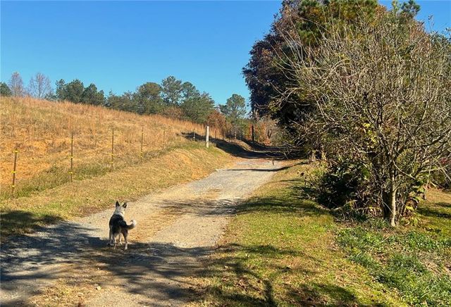 715 E Cochran SE Road, Ranger, GA 30734