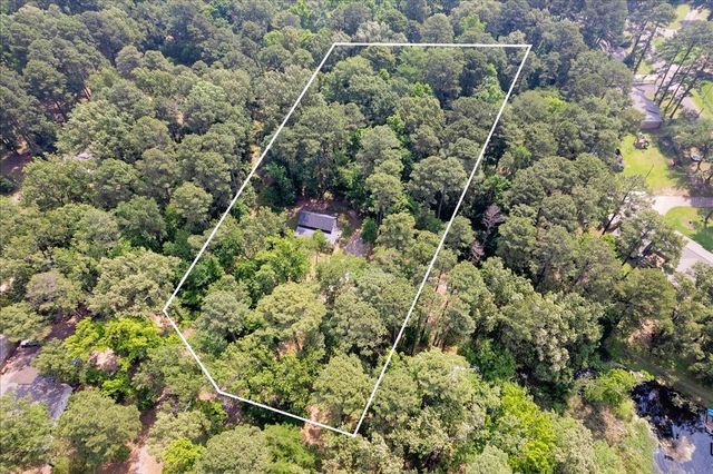 299 Southshore Drive, Lone Star, TX 75668