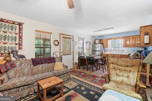 55 Deavours Lane, Cleveland, GA 30528