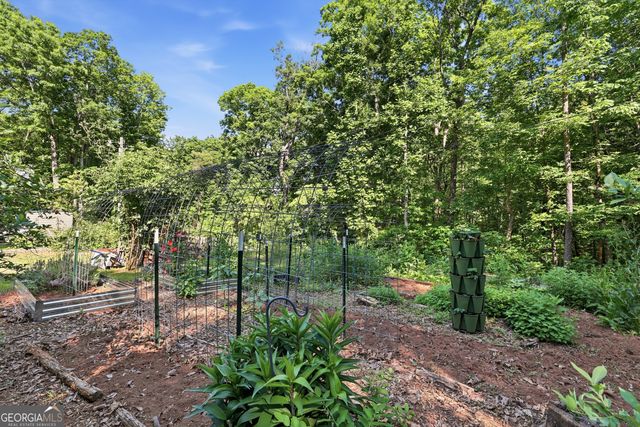 55 Deavours Lane, Cleveland, GA 30528