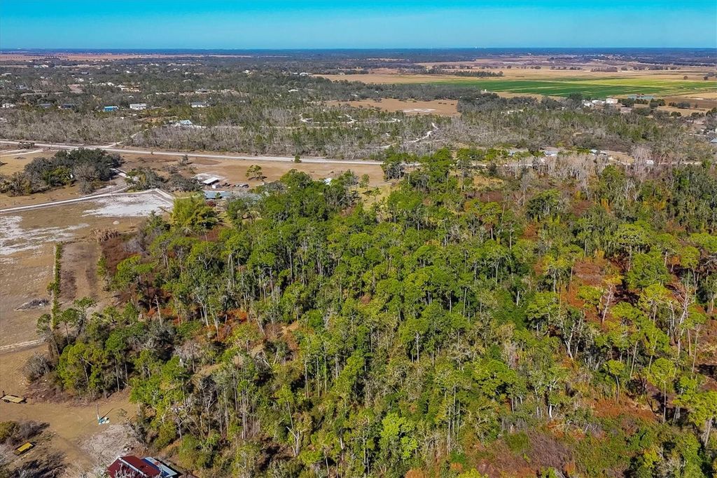 Image 50 of property listing at 30352 BETTS ROAD, Myakka City, FL 34251