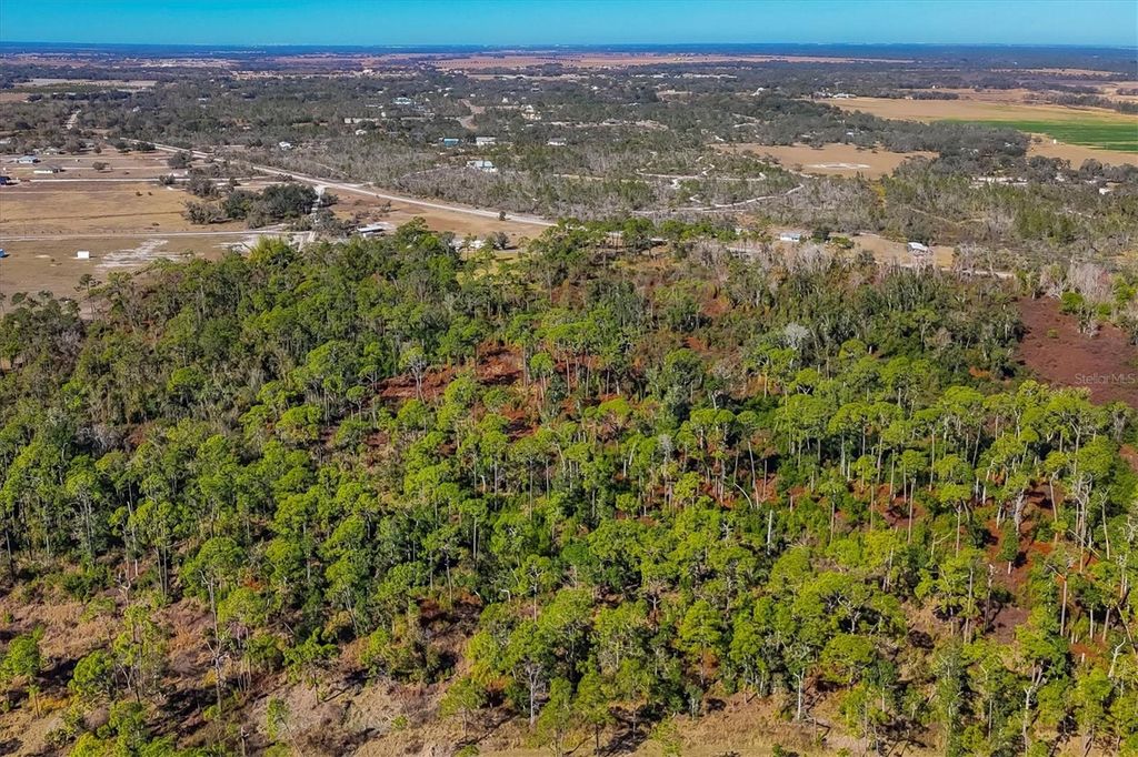 Image 51 of property listing at 30352 BETTS ROAD, Myakka City, FL 34251