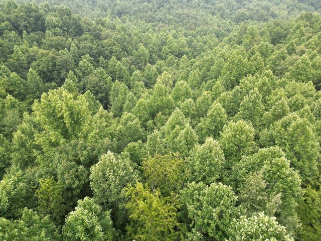 9999 Proffitt Road, Manchester, KY 40962