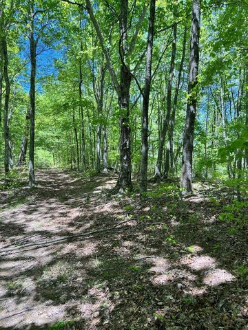 9999 Proffitt Road, Manchester, KY 40962