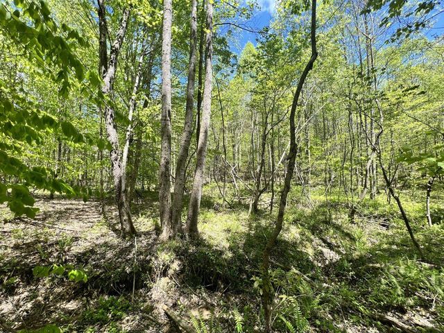 9999 Proffitt Road, Manchester, KY 40962