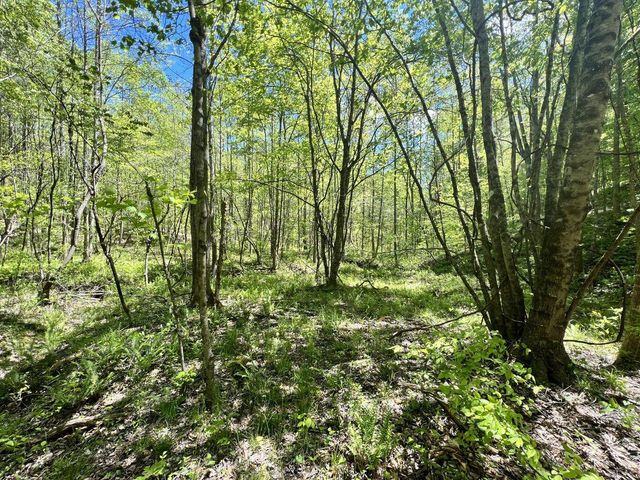 9999 Proffitt Road, Manchester, KY 40962