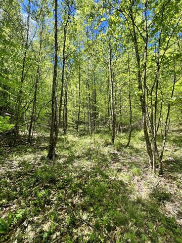 9999 Proffitt Road, Manchester, KY 40962