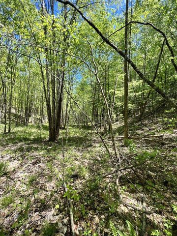 9999 Proffitt Road, Manchester, KY 40962