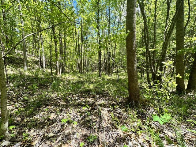 9999 Proffitt Road, Manchester, KY 40962