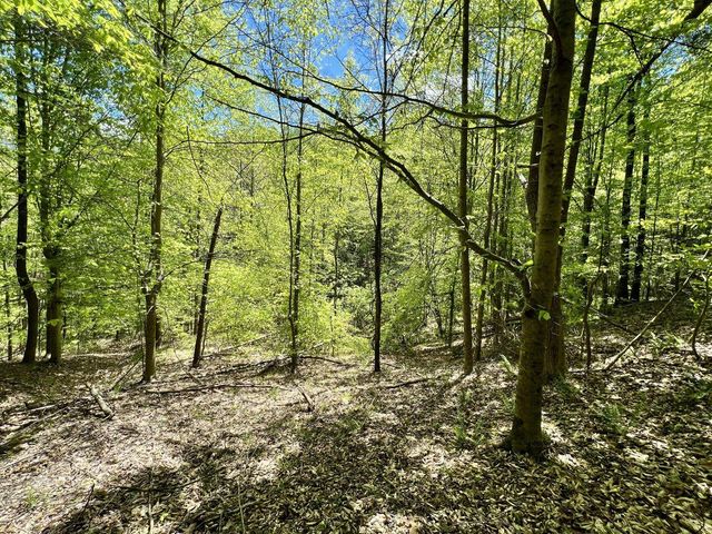 9999 Proffitt Road, Manchester, KY 40962