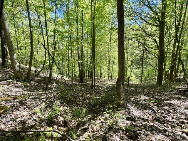 9999 Proffitt Road, Manchester, KY 40962