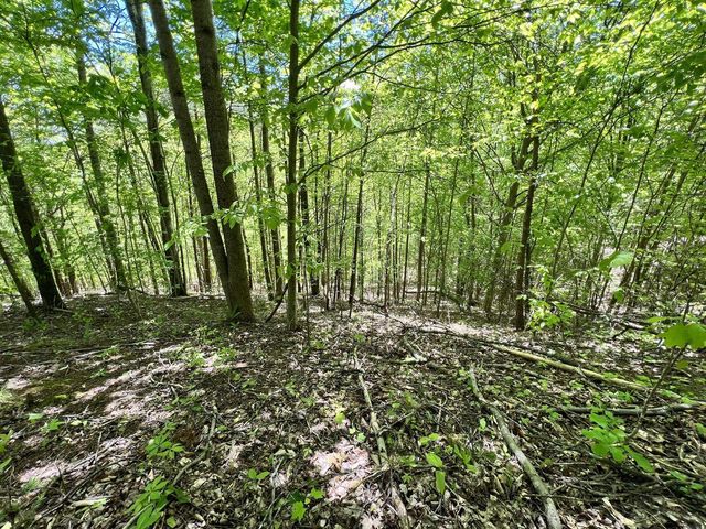 9999 Proffitt Road, Manchester, KY 40962