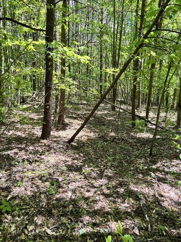 9999 Proffitt Road, Manchester, KY 40962