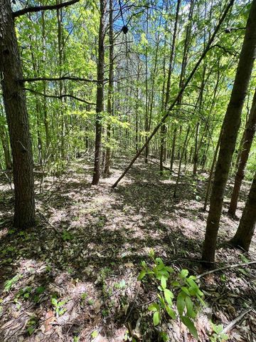 9999 Proffitt Road, Manchester, KY 40962