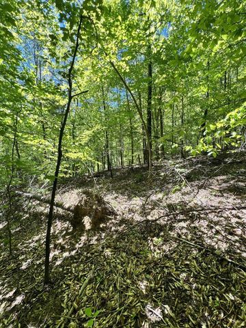 9999 Proffitt Road, Manchester, KY 40962