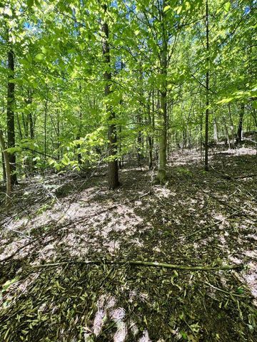 9999 Proffitt Road, Manchester, KY 40962