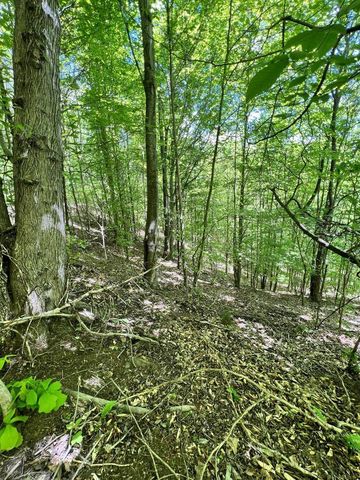 9999 Proffitt Road, Manchester, KY 40962