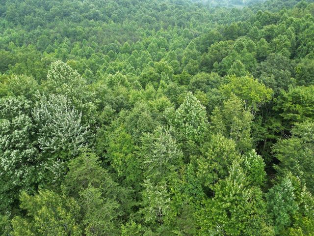 9999 Proffitt Road, Manchester, KY 40962