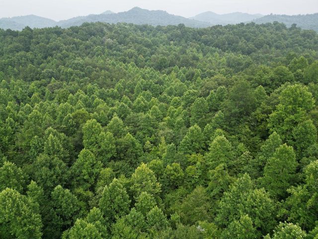 9999 Proffitt Road, Manchester, KY 40962