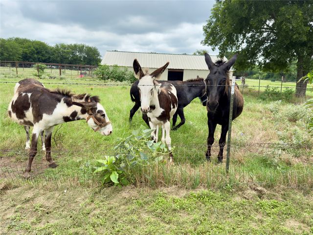 350 S Pearson Lane, Azle, TX 76020