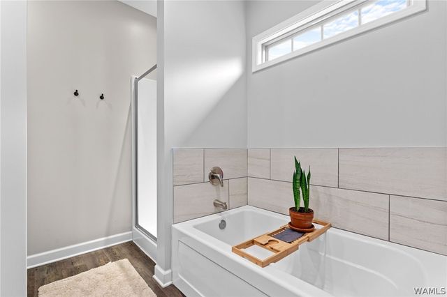 398 Camille, Tuscaloosa, AL 35405