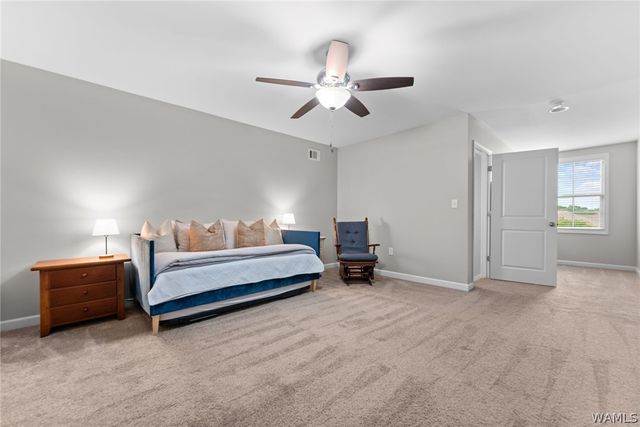 398 Camille, Tuscaloosa, AL 35405