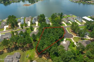 Coyote Cove, Madison, MS 39110