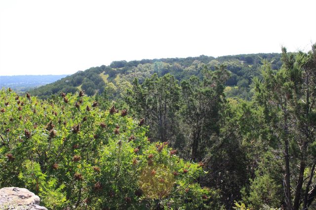 Lot 100 Saddle Ridge DR, Bertram, TX 78605