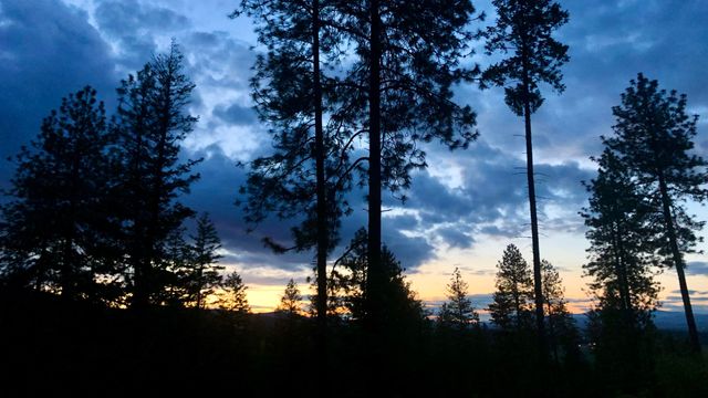 S Swenson Rd, Deer Park, WA 99006