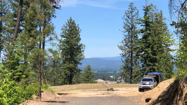 S Swenson Rd, Deer Park, WA 99006