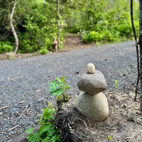 S Swenson Rd, Deer Park, WA 99006