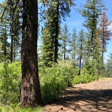 S Swenson Rd, Deer Park, WA 99006