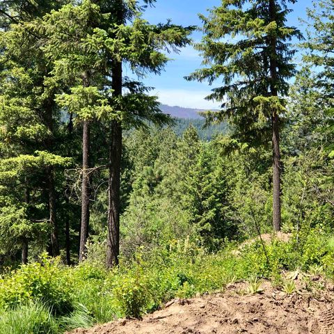 S Swenson Rd, Deer Park, WA 99006