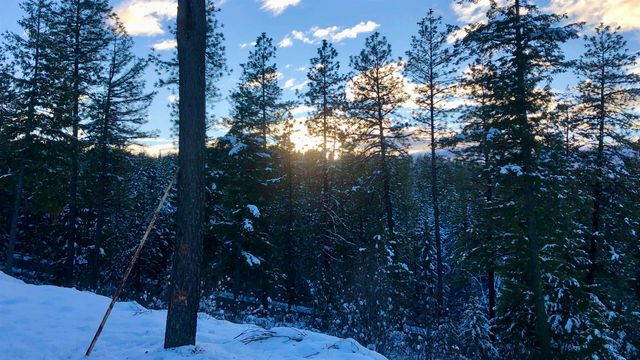 S Swenson Rd, Deer Park, WA 99006